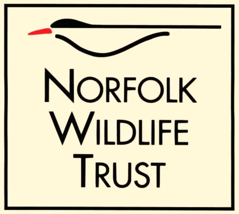 NWT Logo